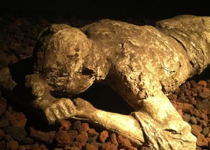 شقة فندقية Flora 3*